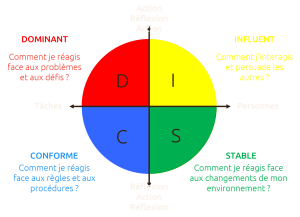 DISC Complet, Dominant, Influent, stable, conforme